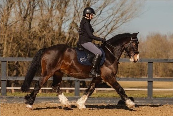 Dressage
