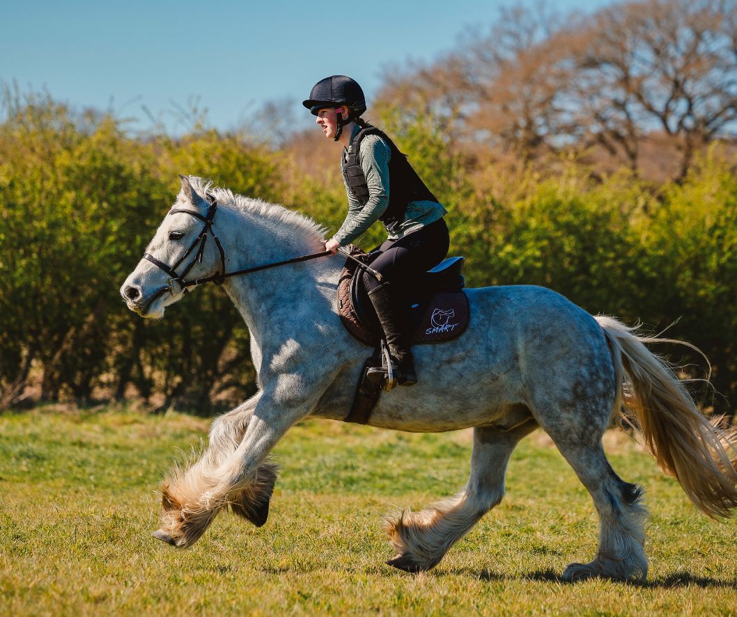 SMART Saddles: Tackling the Saddle Fit Challenges of Cobs & Native Breeds