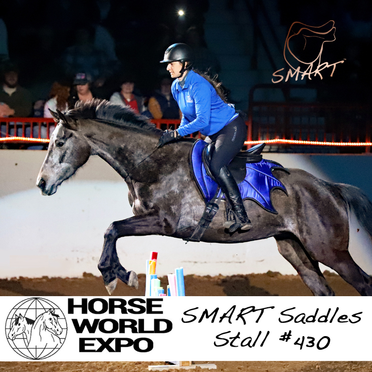 SMART Saddles February Newsletter