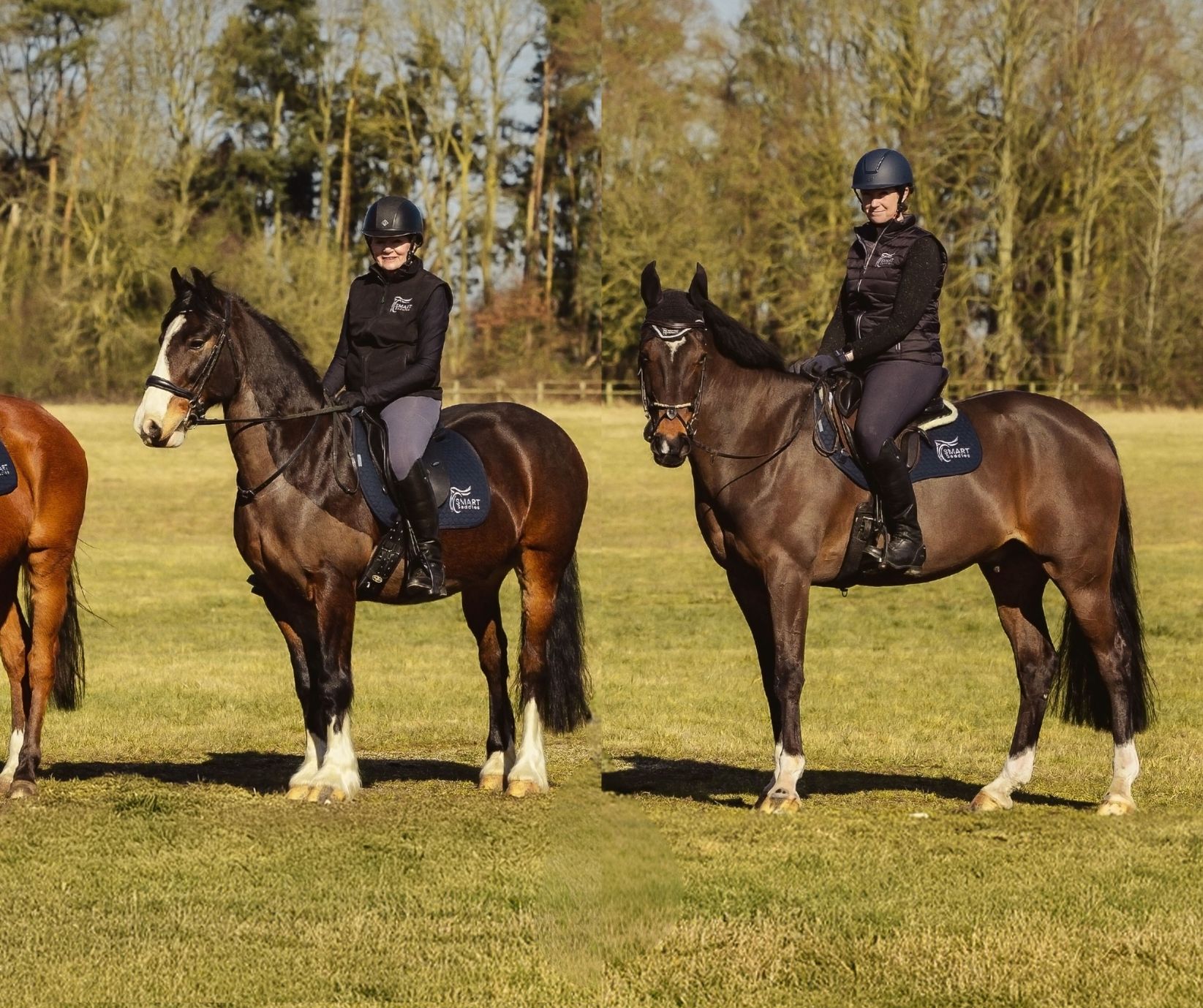 SMART Elite Saddle Range