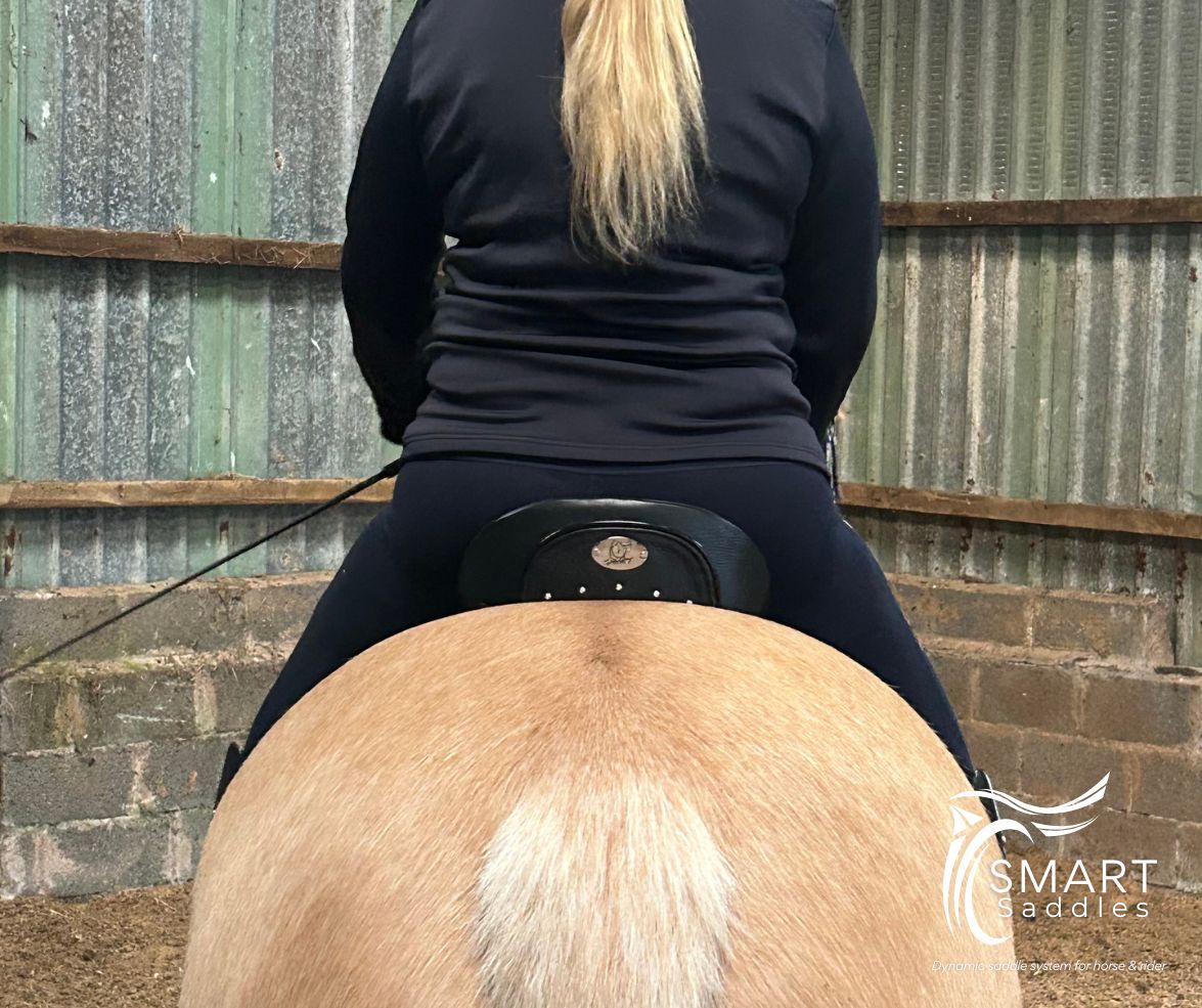 Comfort at last for wide Welsh x in the SMART Elite Dressage saddle