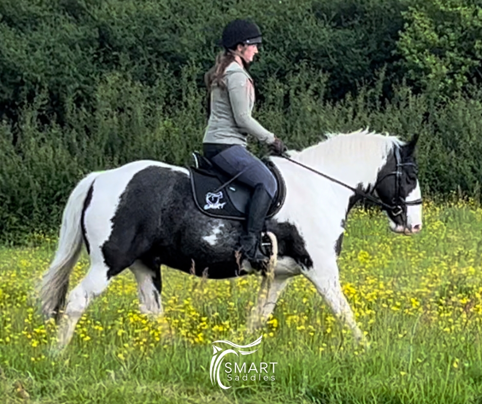 Struggling to find a saddle that truly fits your horse? You’re not alone…