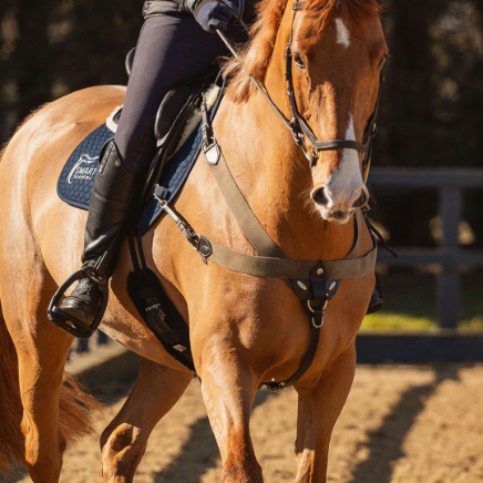 SMART Native Saddle Range