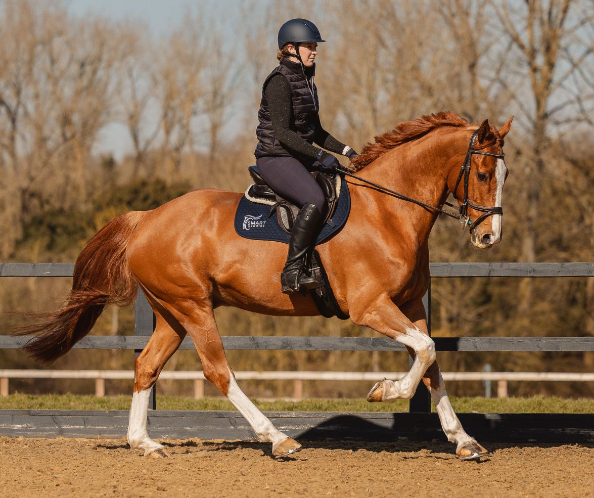 Is it time to rethink your approach to saddle fit?