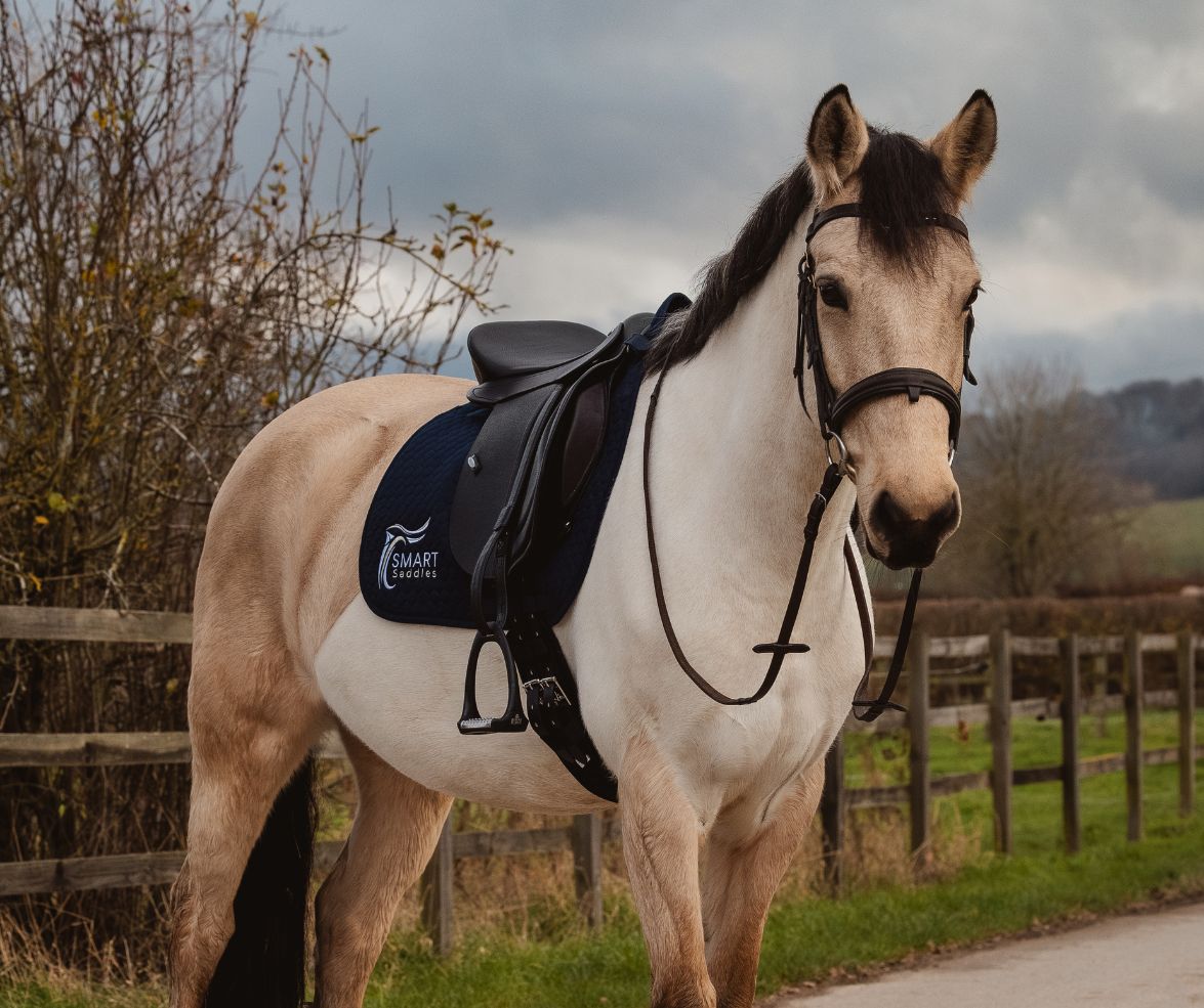 A must-have for young riders and ever-changing ponies